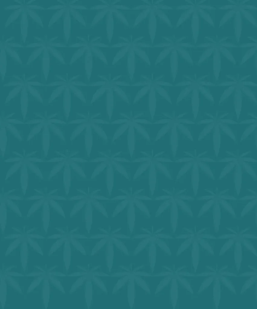 Le e liquide gout Weed à la saveur du chanvre