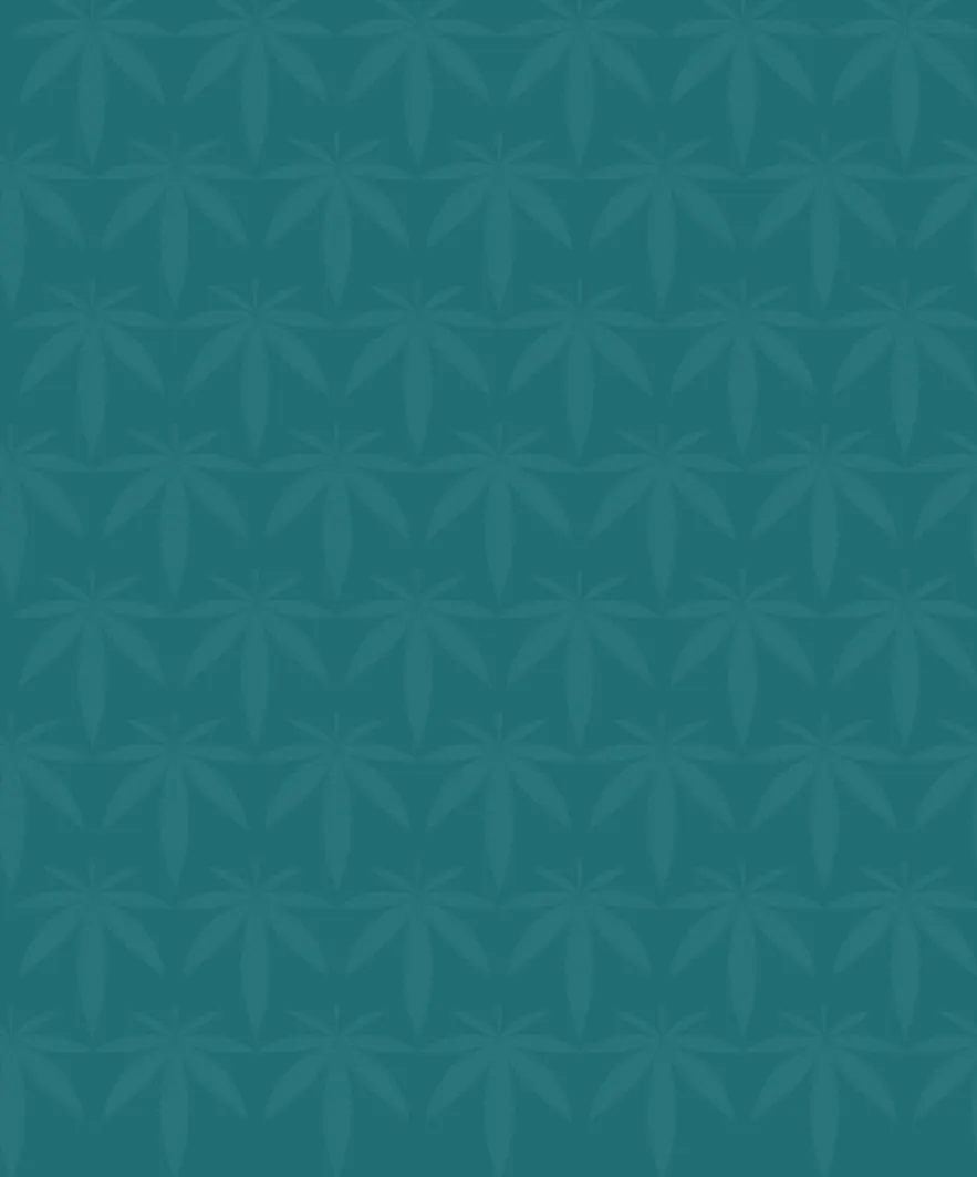 Le e liquide gout Weed à la saveur du chanvre